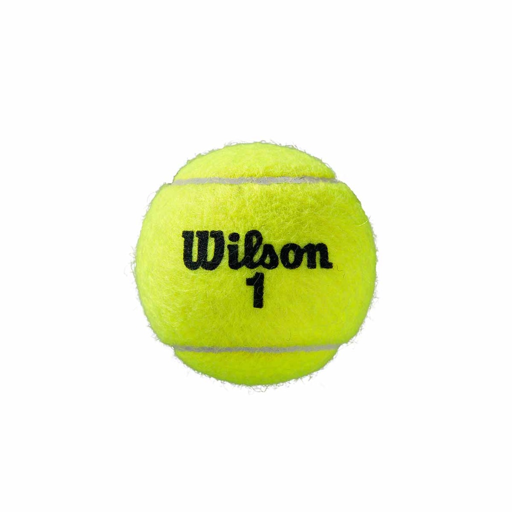 Caja de Pelotas Tenis Wilson Roland Garros TX24